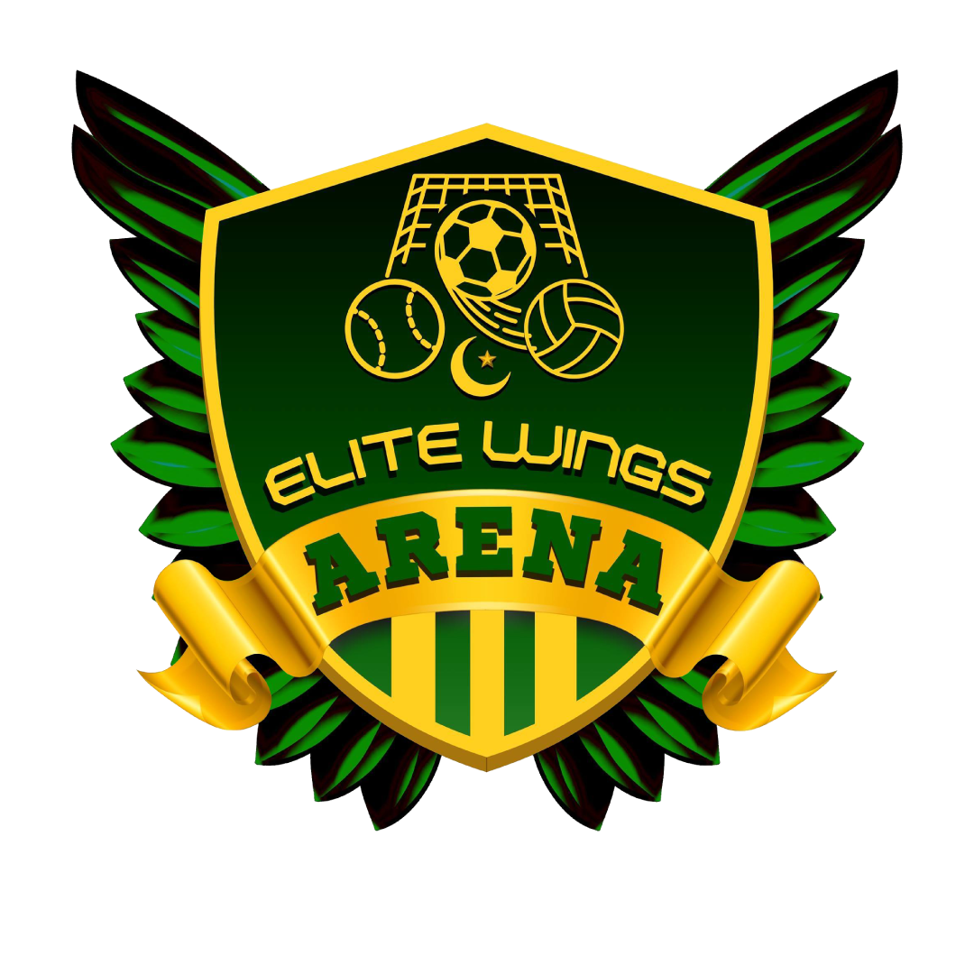 Elite Wings Arena brand identity